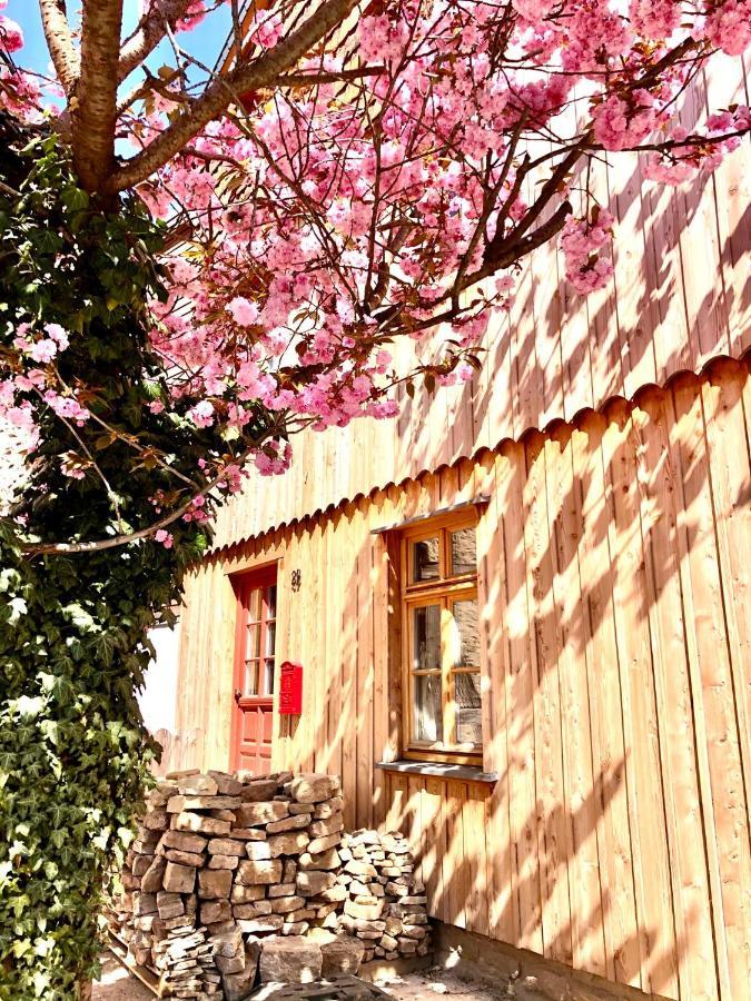 Exklusive Oekologische Ferienwohnung ,City, Og Wernigerode Buitenkant foto